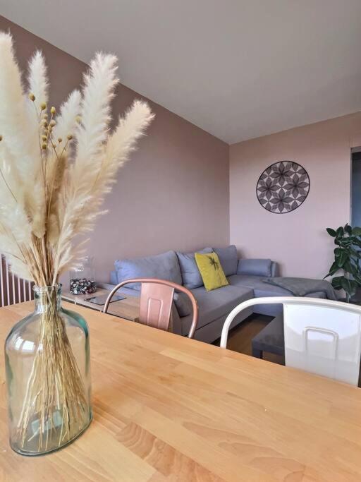 Appartement "L'Horizon" De Miss.K Conciergerie à Mâcon Extérieur photo